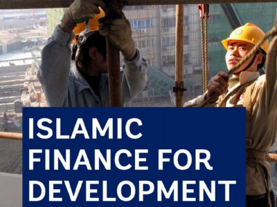 Sharia compliant finance for Development